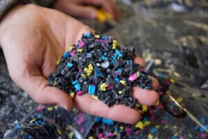 169886 Wearing the badge: eco certifications and what they mean