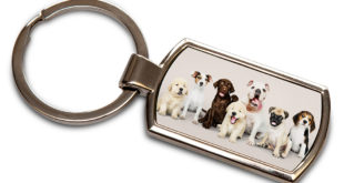 3573 New Rectangle Keyring Stock Products that are a runaway success
