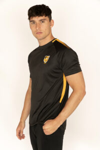 Chadwick Textiles 1077 What’s New: Chadwick Textiles