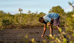 Ecologi tree planting Infinity Inc branches out with planting and conservation initiative