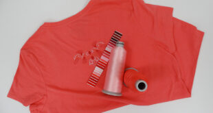 EmbroideredT Shirt 2 web Top tips for embroidering T shirts