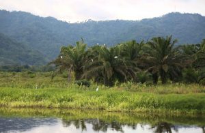 Gildan pic 3 Gildan included in the Dow Jones Sustainability Index for 12th consecutive year