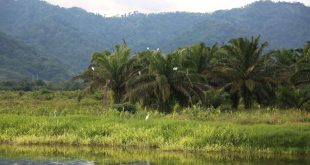 Gildan pic 3 Gildan included in the Dow Jones Sustainability Index for 12th consecutive year