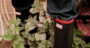 Hunter AW24 Country 10 scaled e1750751740873 Hunter is coming to The Outdoors Company
