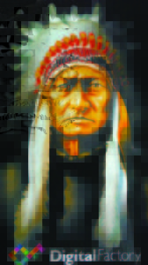 Indian Chief A supplier of DTG equipment and software