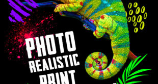 Jungle Tshirt Chameleon Final Black Achieve perfect DTG printing on dark and coloured garments