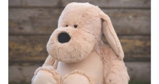 Mumbles Brochure 2017 V3 Eng 1 Bringing teddies to life