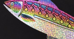 Silver Holographic Subli Print Fish 2 e1538474527157 And now for something truly unique…