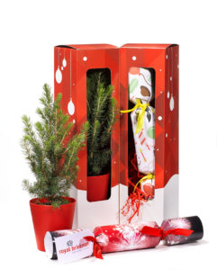 T Cracker box open Simply Crackers Simply Crackers launches new Christmas tree cracker