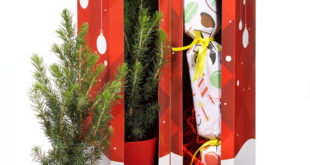 T Cracker box open Simply Crackers Simply Crackers launches new Christmas tree cracker