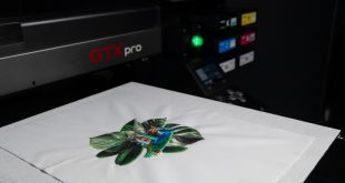 pic 2 DTE Frog Printed on Platen Bringing embroidery to the digital age