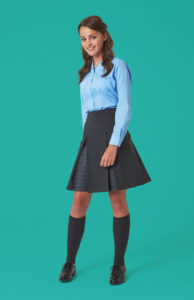 shot12 040 Teal e1552043837923 The inverted pleat